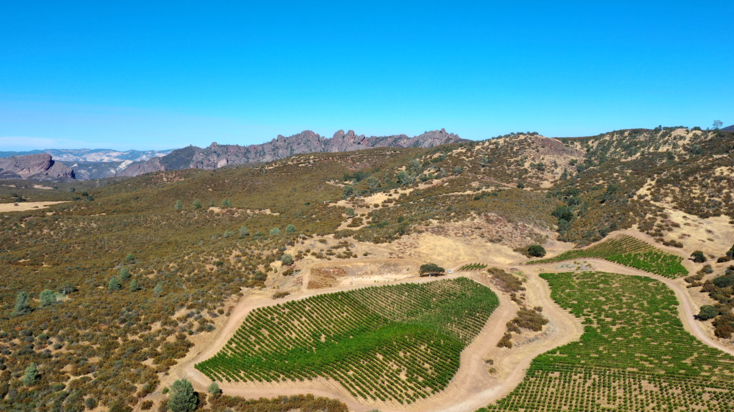 Rodnick Farm with mtns in background