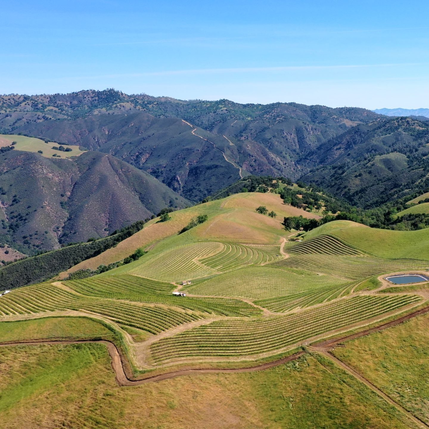 overhead shot of Coastview Vyd