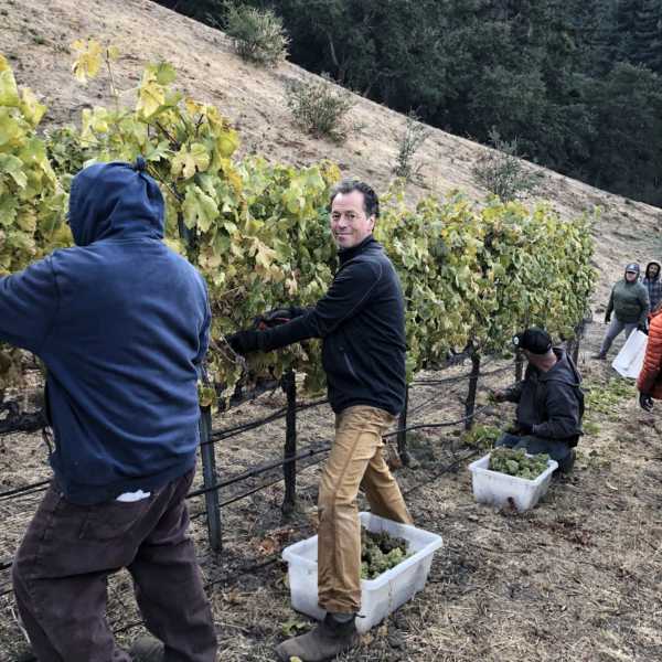 Bradley harvesting with crew