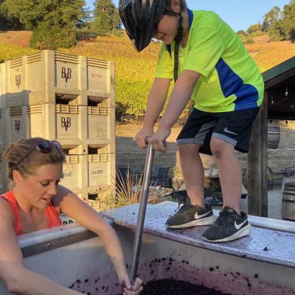 kiddo punching down grapes