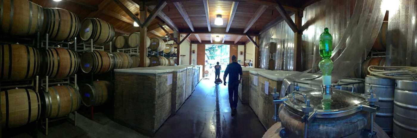 pano view winery