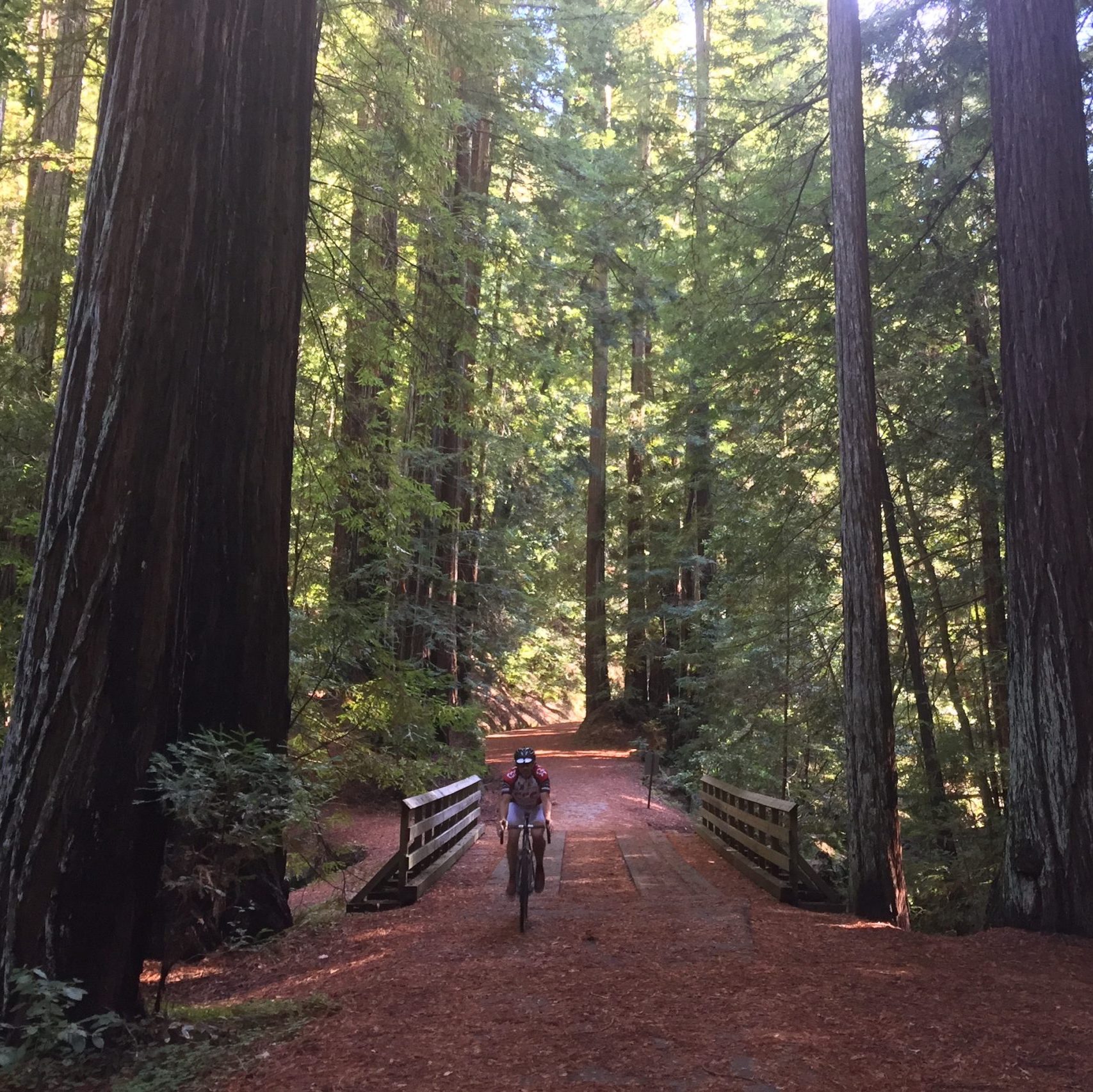 biker in forest