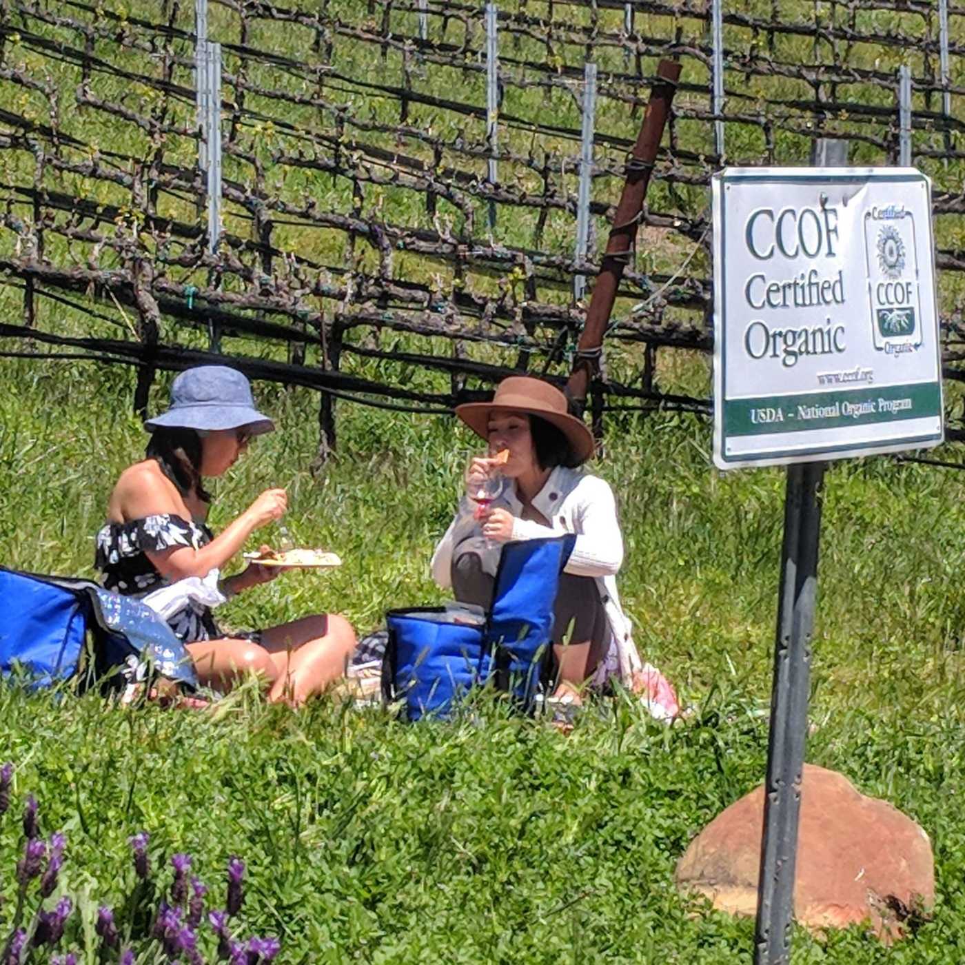 picnic next to organic sign