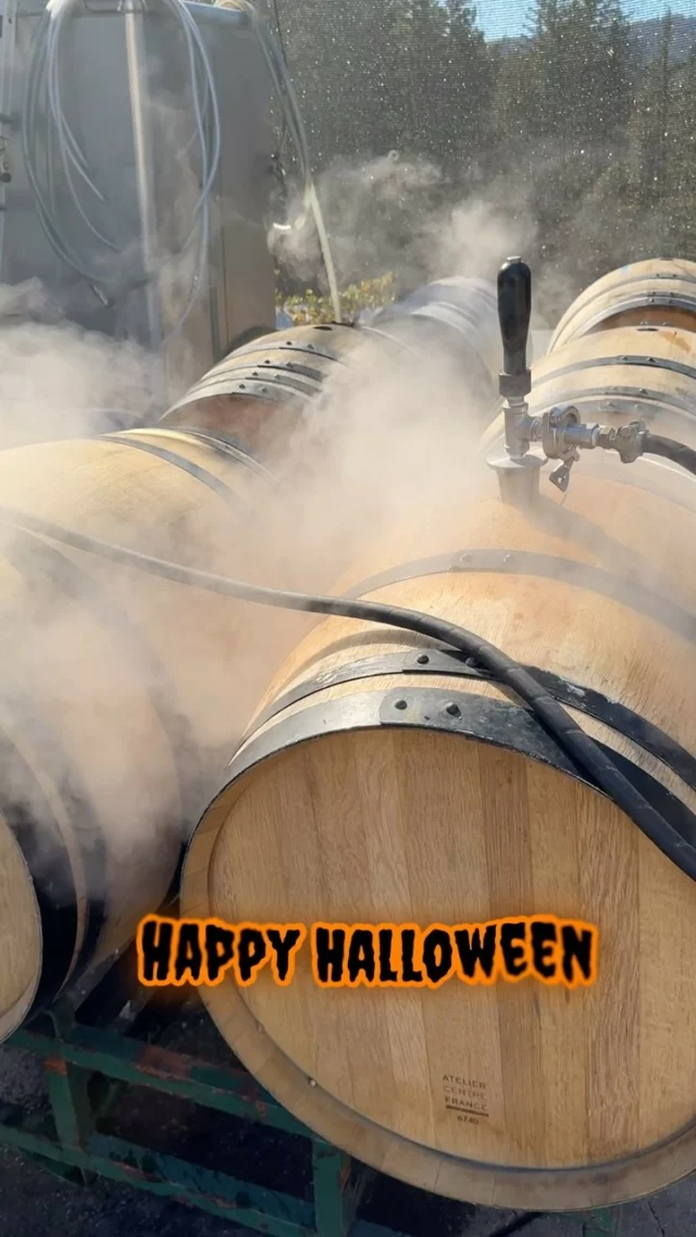 Spooky vibes at the winery this Halloween! There’s something magical brewing in the cauldron… or is it just prepping for our latest vintage? 🍷🕸️👻

Happy Halloween to all! We’re closed today so all you ghouls and goblins can enjoy a night of tricks, treats, and tasty potions. See you on the other side! 🎃🍂

 #Halloween #halloweenpotion #santa cruz #magicwine #halloweenspirit