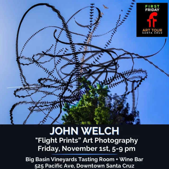 Join us for First Friday Santa Cruz next Friday, November 1, from 5 to 9 p.m. Photographer John Welch will be featured at our Santa Cruz Tasting Room & Wine Bar, 525 Pacific Ave, Downtown Santa Cruz.

John uses a custom Python program to capture the trails that birds leave in the sky through rapid photography and layering techniques. His work showcases the beauty of birds in their natural habitat without any digital alterations. 

Meet John at the opening of his show this Friday and learn about his creative process! Also, don’t miss Randie Silverstein’s glass installation, “Looking Up,” which is on display—perfect at twilight.

Enjoy a wine flight, a bite from our tapas-style menu, and relax around one of our fire pits or at our stunning redwood wine bar. This is a family—and dog-friendly event, so bring everyone along!
.
.
.
#bigbasinvineyards #downtownsantacruz #firstfridaysantacruz