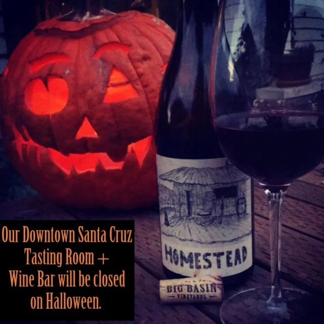 We will be closed on Halloween, but join us on Friday, November 1, from 5 to 9 p.m. for the First Friday Santa Cruz opening of John Welch's "Flight Prints" Art Photography. 

Meet John at the opening of his show this Friday and learn about his creative process! Also, don’t miss Randie Silverstein’s glass installation, “Looking Up,” which is on display—perfect at twilight.
Enjoy a wine flight, a bite from our tapas-style menu, and relax around one of our fire pits or at our stunning redwood wine bar. This is a family—and dog-friendly event, so bring everyone along!
.
.
.
#bigbasinvineyards #downtownsantacruz #firstfridaysantacruz