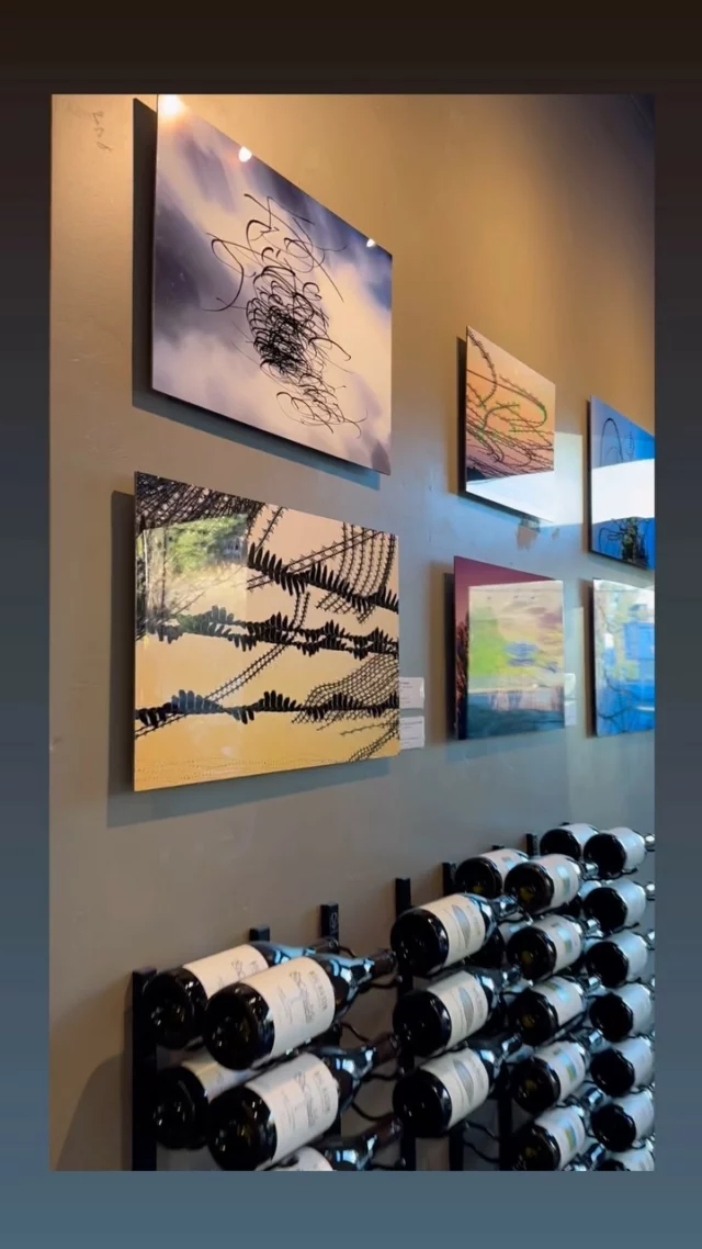 Join us tonight, 5-9 pm, at our Santa Cruz Tasting Room + Wine Bar for the opening of  First Friday Santa Cruz photographer John Welch's show!  See his unique bird photography and chat with him about his creative process. Plus, enjoy Randie Silverstein’s glass installation, “Looking Up,” perfect at twilight.

Relax with wine, tapas, and good atmosphere —family & dog-friendly!  525 Pacific Ave, Downtown Santa Cruz, at the Front St. junction.

#bigbasinvineyards #downtownsantacruz #firstfridaysantacruz @firstfridaysantacruz  @flight_print_photos